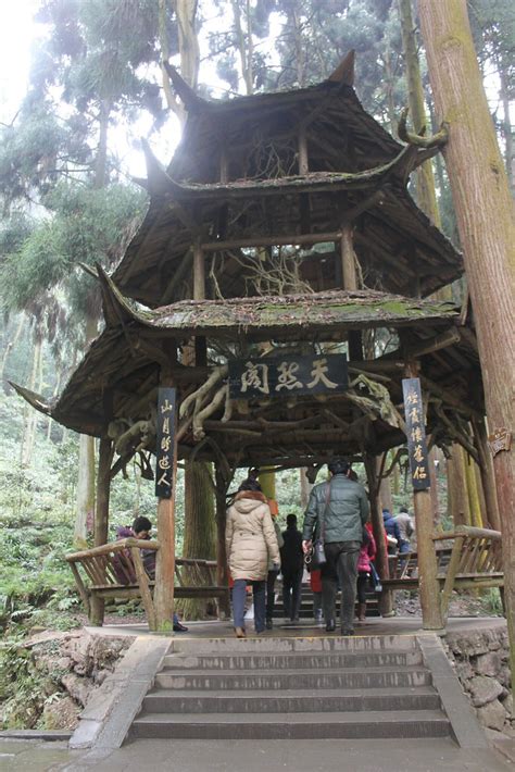 青城山|Mount Qingcheng